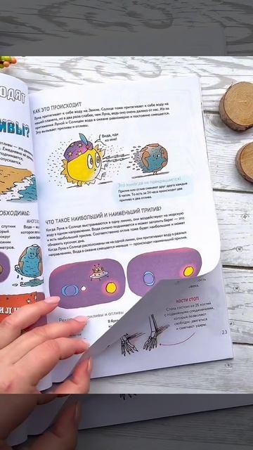 Книга Наука не скука. Учёные ответы на детские вопросы (Бертран Фишу, Марк Бейнье) — 3