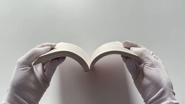 Книга Спор на босса (Матильда Старр) — 3
