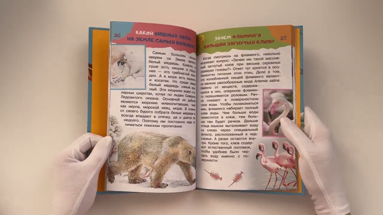 Книга 100 тысяч почему. Вопрос-ответ (Павел Бобков) — 3