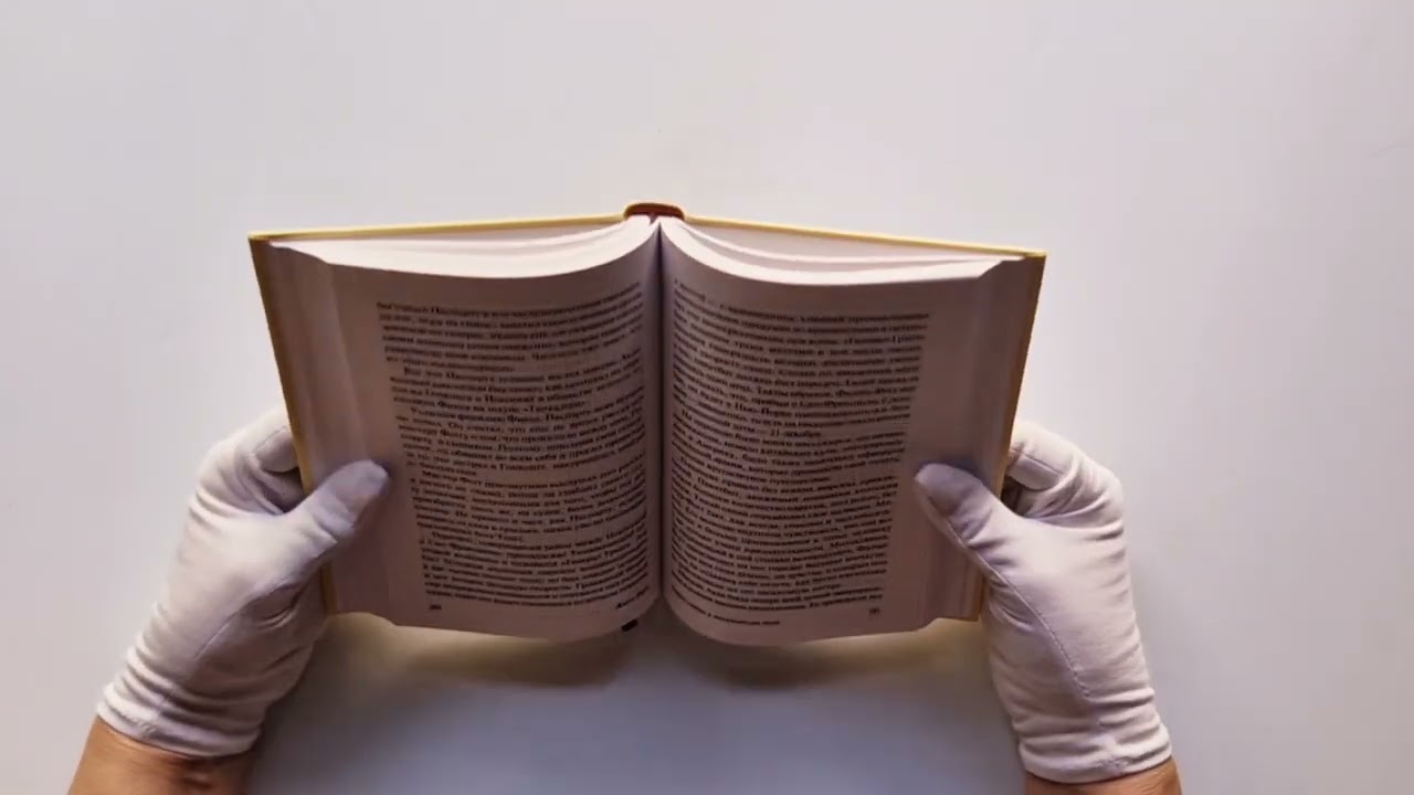 Книга Вокруг света в 80 дней (Жюль Габриэль Верн) — 3