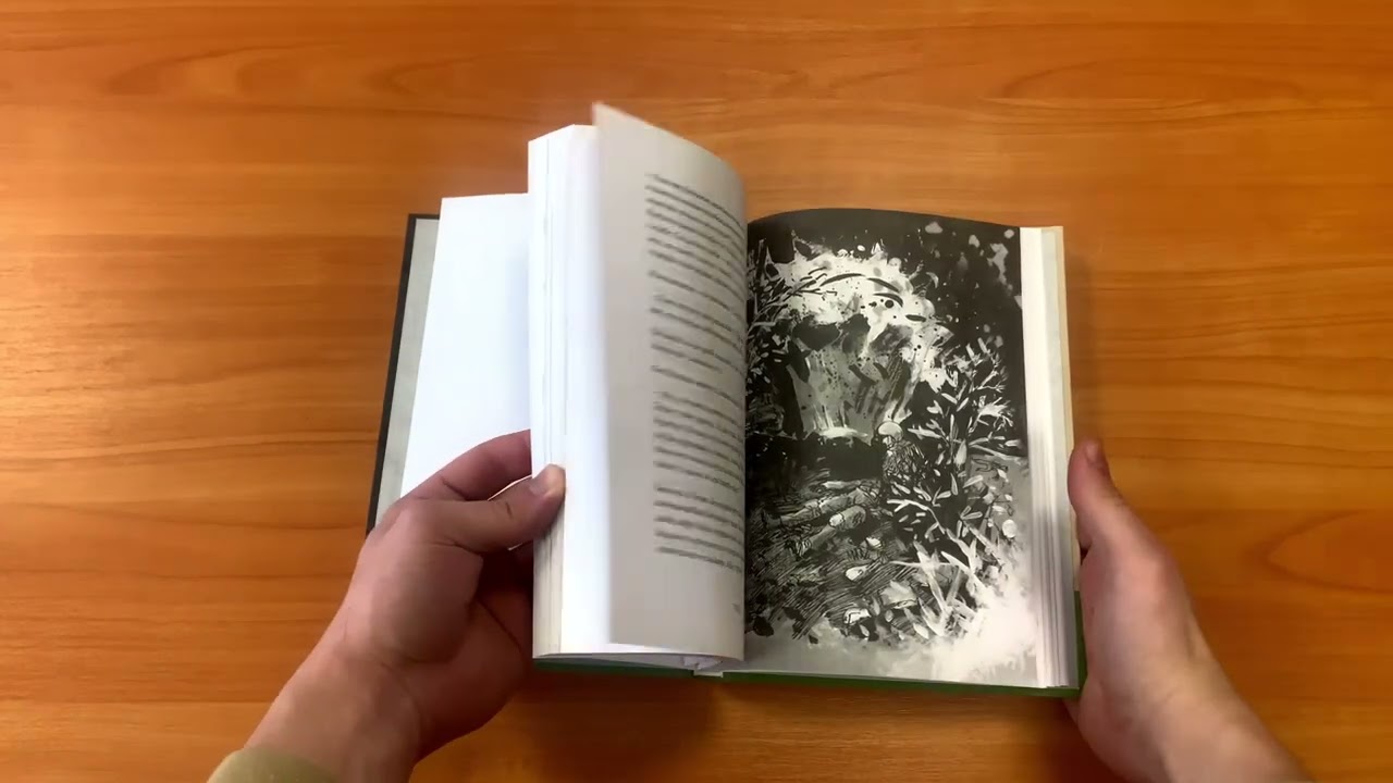 Книга Мы пришли за миром. Сильнее смерти. Документальная повесть. Первый сезон (февраль — март 2022 года) (Сергей Карнаухов) — 3