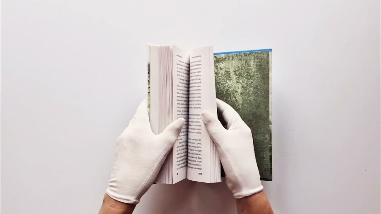 Книга Тайный наблюдатель (Мария Скрипова) — 6