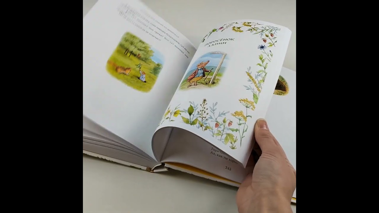 Книга Все о кролике Питере (Беатрис Хелен Поттер) — 3