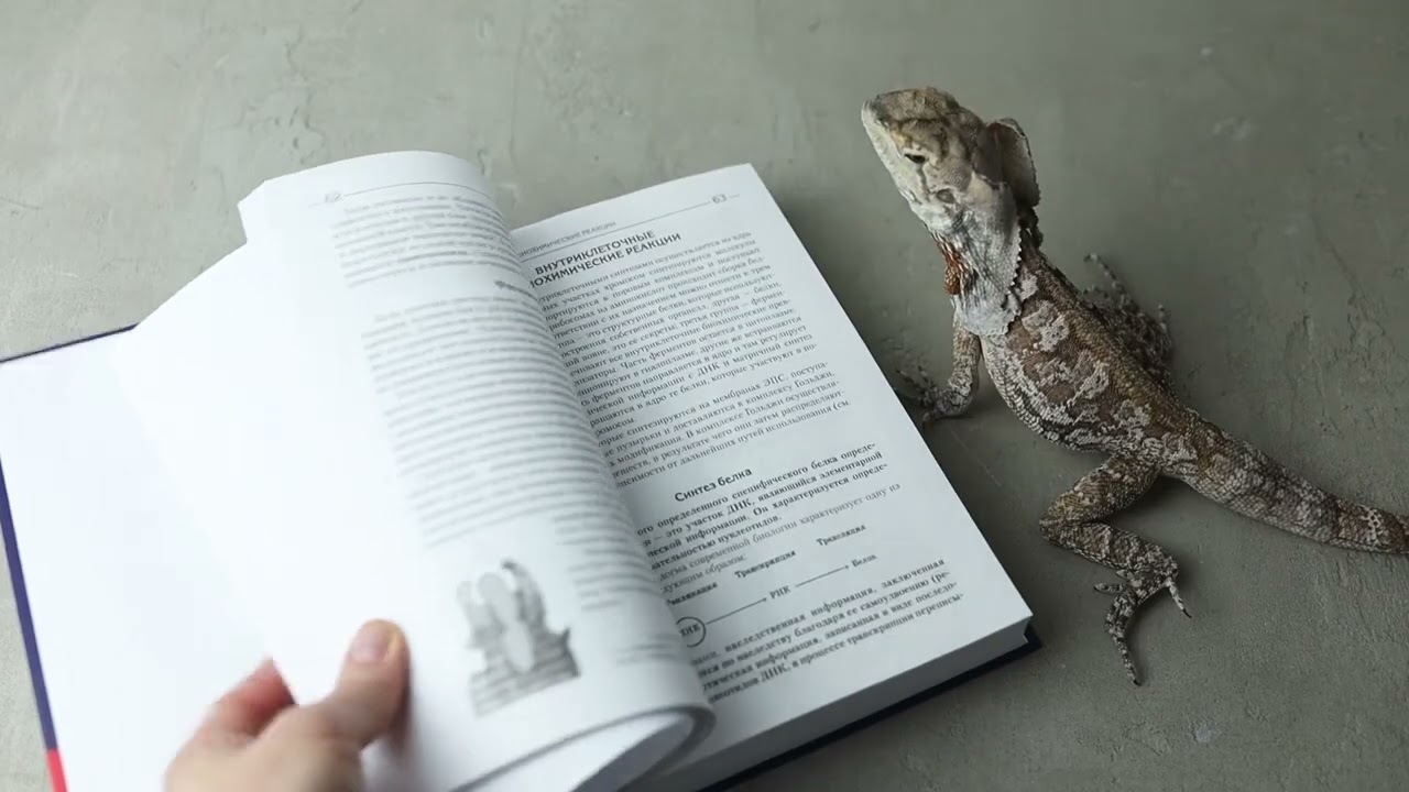 Книга Биология для поступающих в вузы (Елена Зигалова, Габриэль Билич) — 4