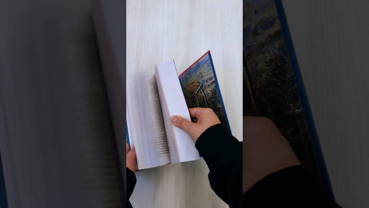 Книга Сорока на виселице (Эдуард Веркин) — 4