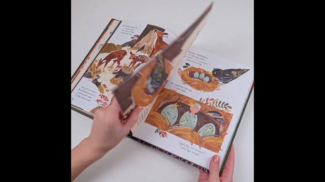 Книга Чудеса природы. Пятиминутные истории для детей (Гэбби Дауни) — 3
