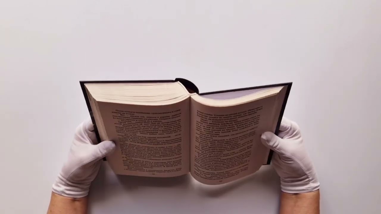 Книга Хорошая девочка должна умереть (Холли Джексон) — 3