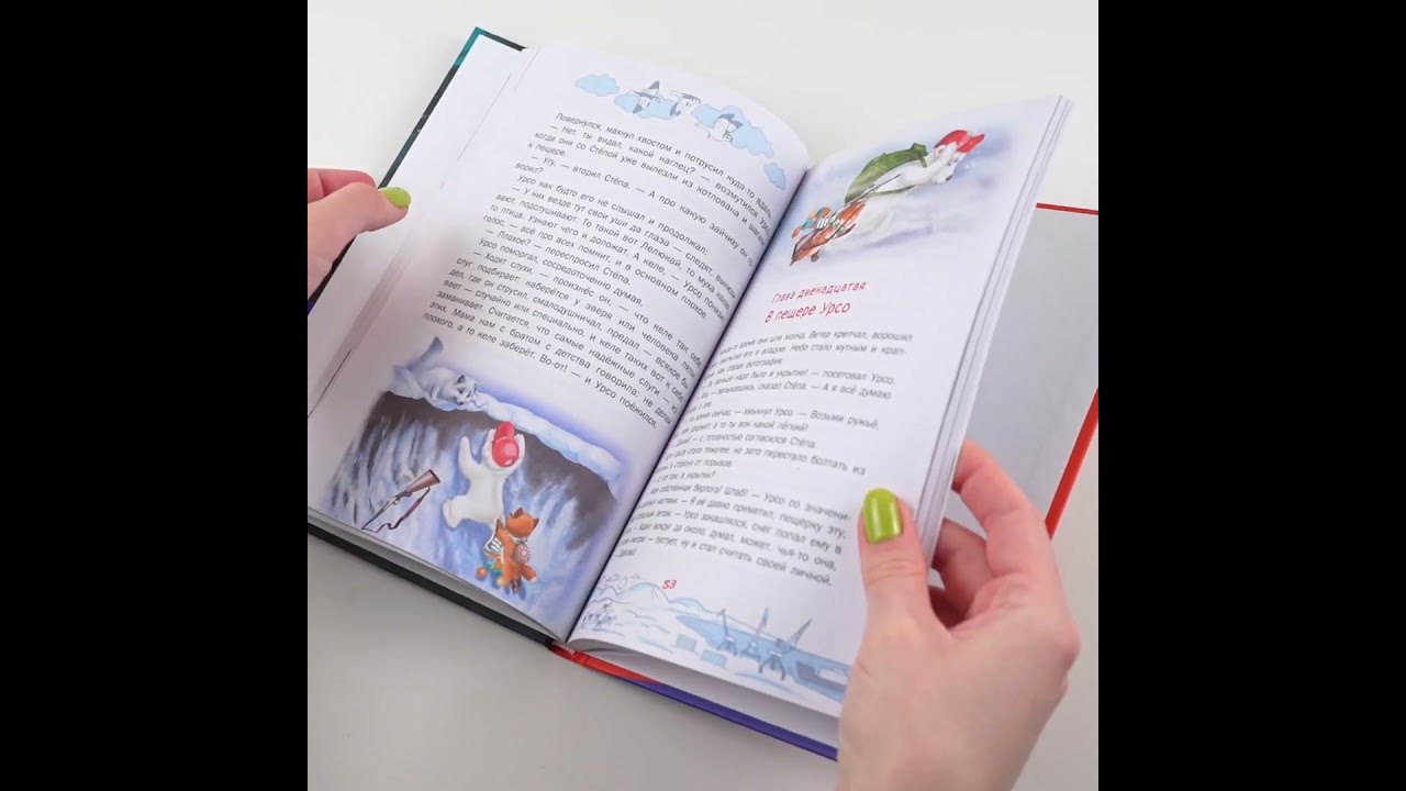 Книга Приключения Лиса Степы и его друзей на Крайнем Севере (Наталья Дзе) — 3