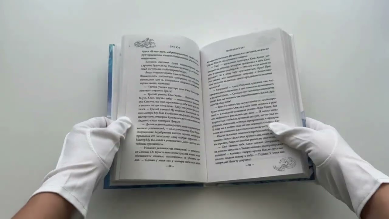 Книга Зеркальные города-близнецы. Книга 2 (Цан Юэ) — 3