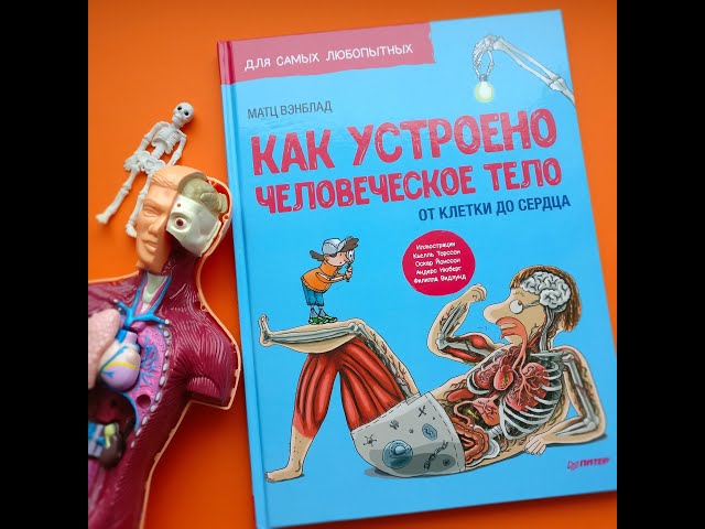 Книга Как устроено Человеческое тело. От клетки до сердца (Матц Вэнблад) — 3