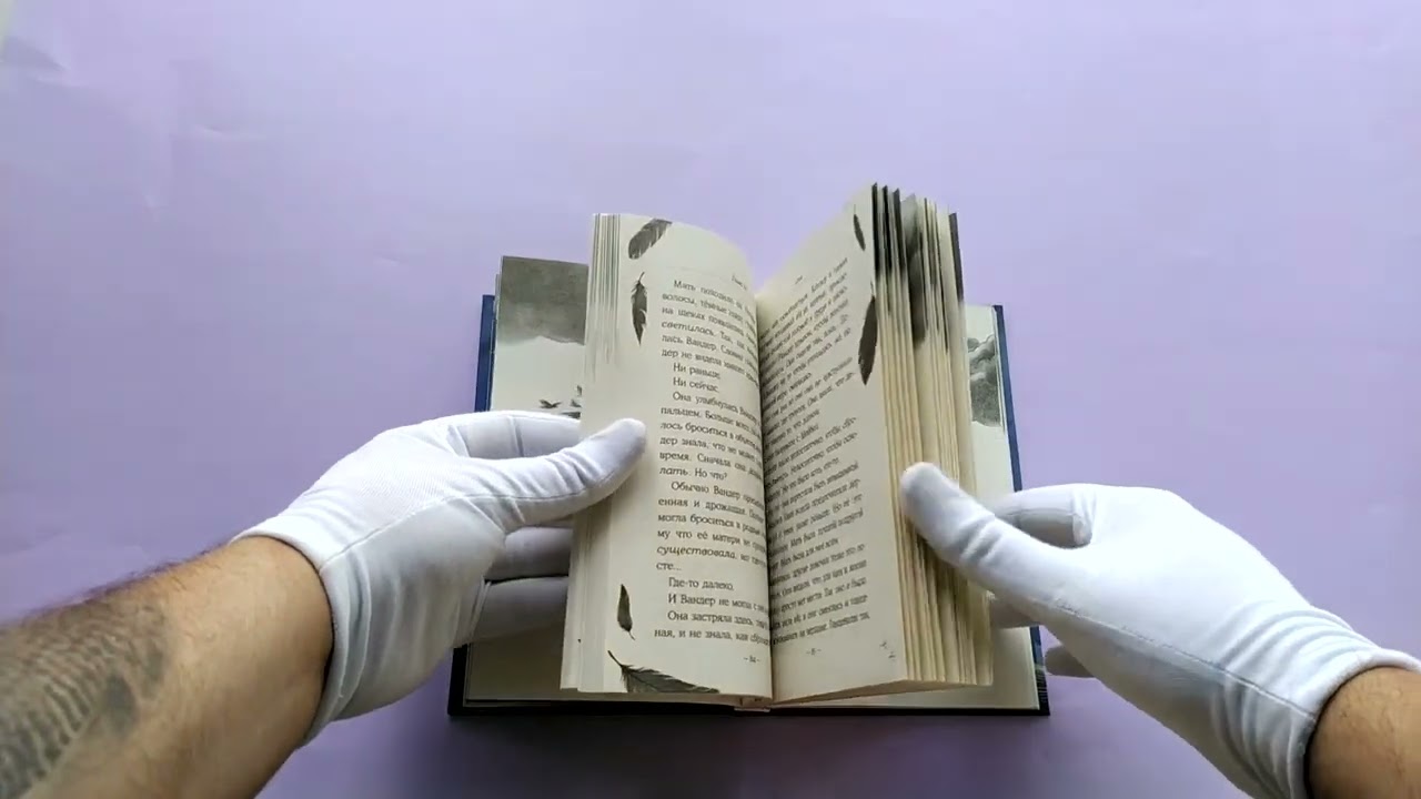 Книга Песня сердца Вандер Квин (Кейт Гордон) — 3