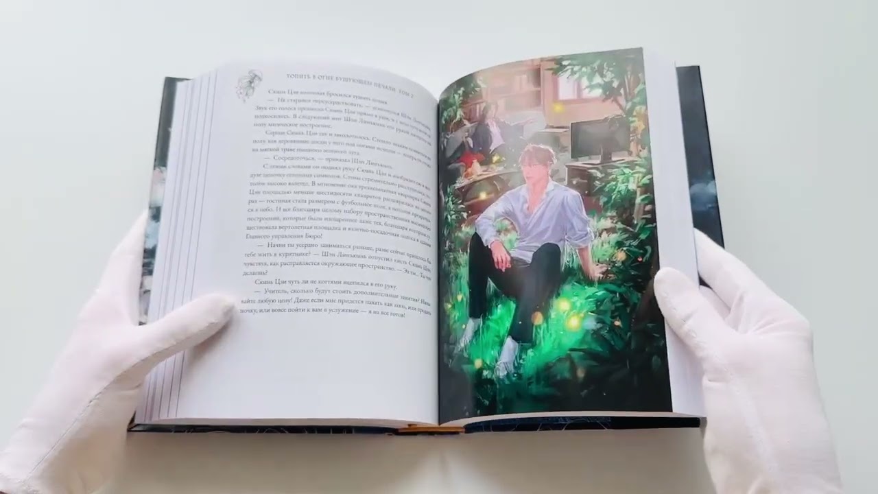 Книга Топить в огне бушующем печали. Том 2. (Priest) — 3