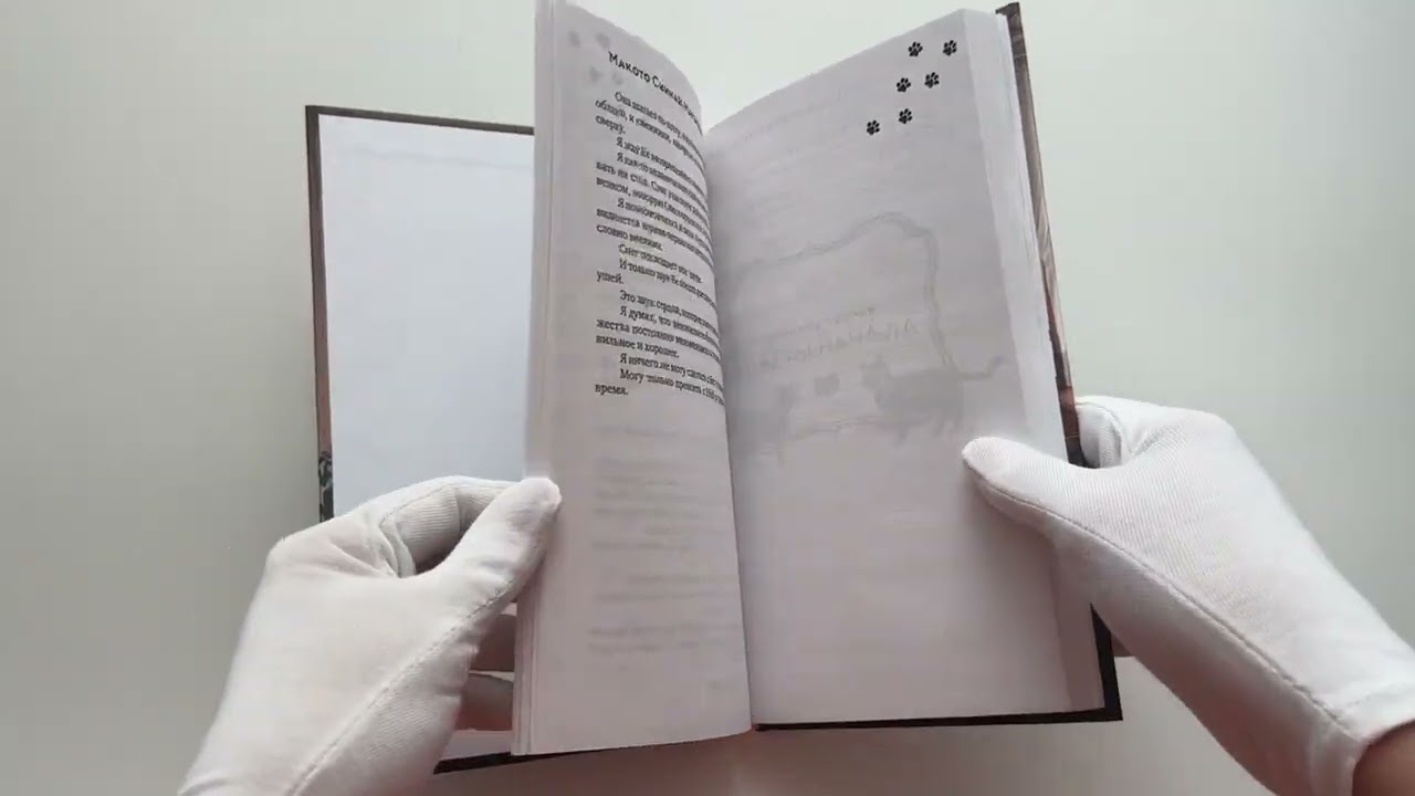 Книга Она и ее кот. Ранобэ (Макото Синкай, Наруки Нагакава) — 3