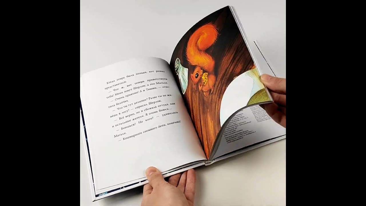 Книга Шерлок Кот. КОТострофический снежный монстр (Себастьен Перез, Бенжамен Лакомб) — 3