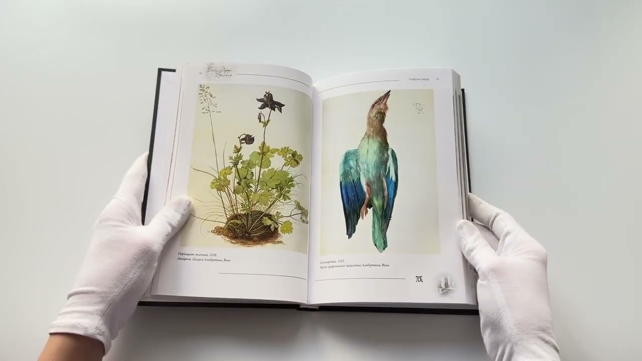 Книга Босх, Дюрер, Брейгель (Елена Рачеева) — 3