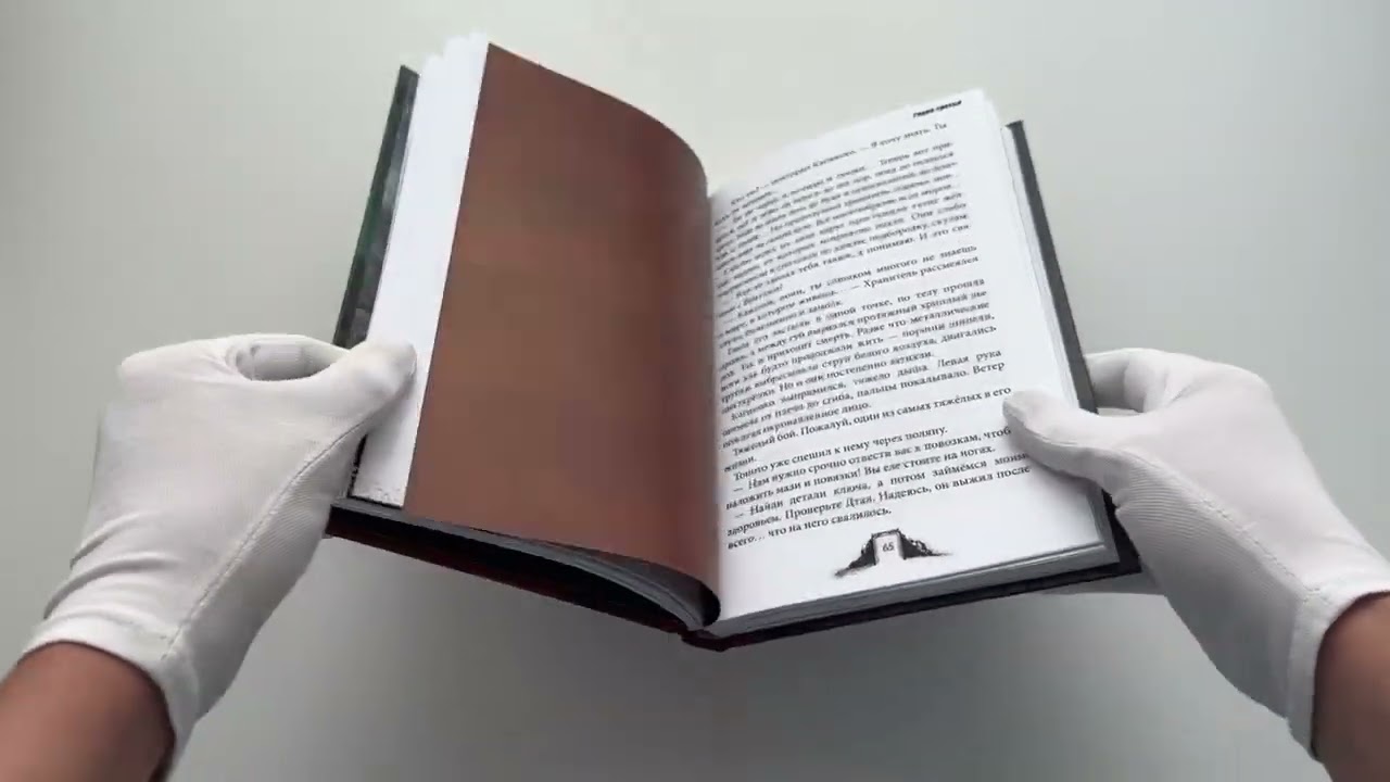 Книга Shadow Fight. Бег за тенью (Алекс Фот) — 3