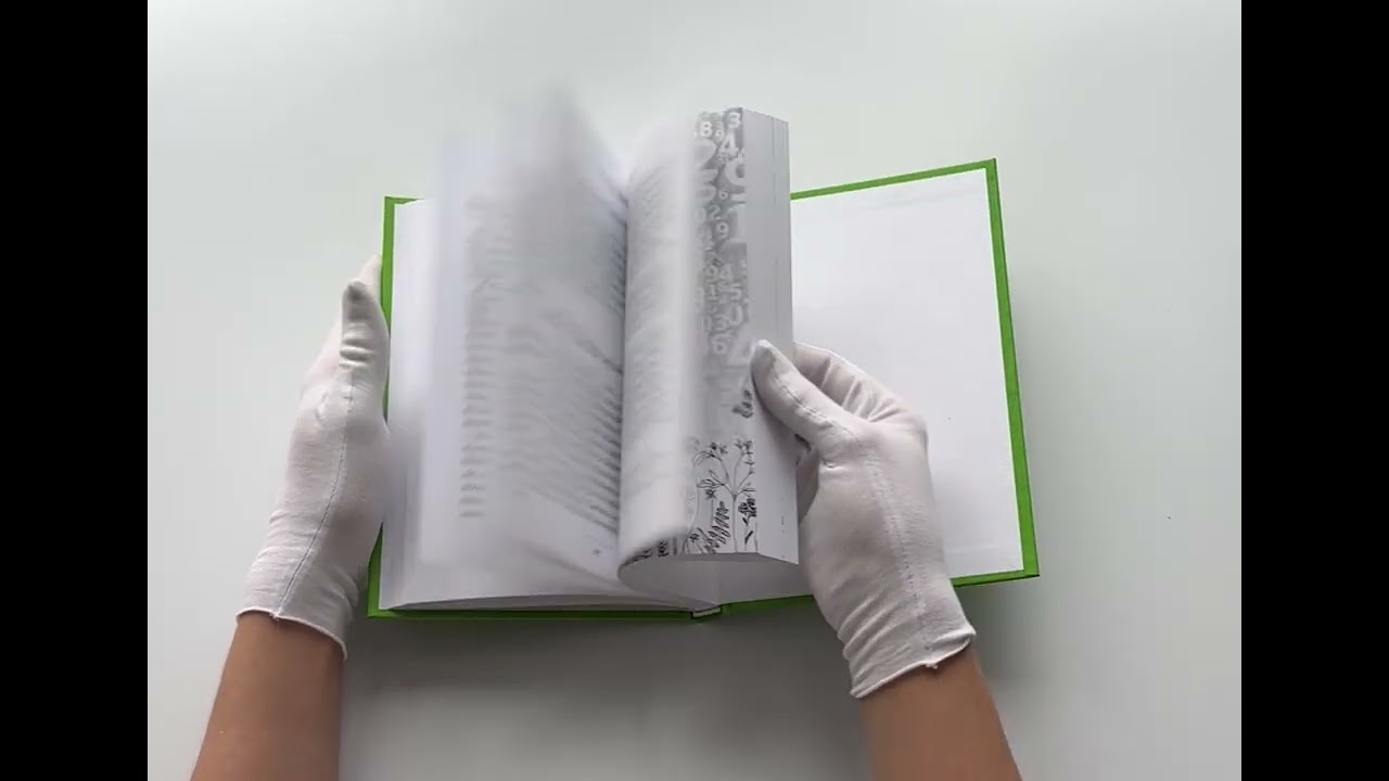 Книга Живая математика. Нематематическая книга о вдохновении, науке, образовании и жизни (Алексей Савватеев) — 3