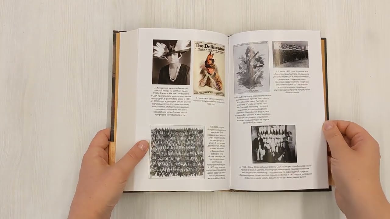 Книга Похититель перьев или самая странная музейная кража (Уоллес Джонсон Кирк) — 3