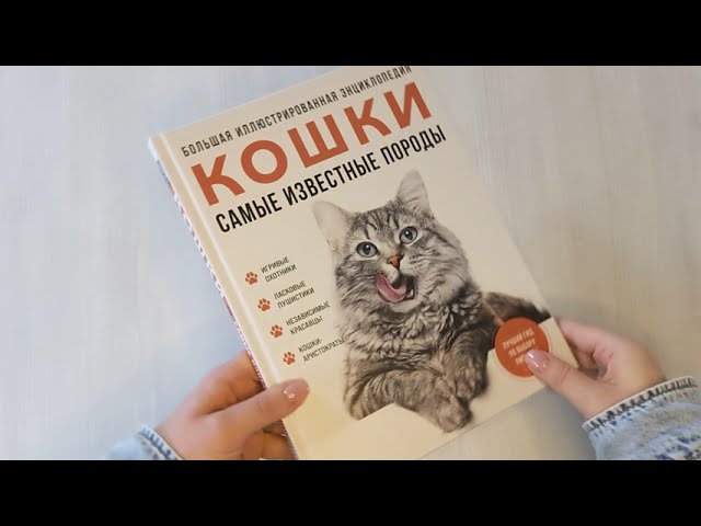 Книга Самые известные породы. КОШКИ. Большая иллюстрированная энциклопедия (Алина Ярощук, Людмила Романова) — 3