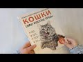 Самые известные породы. КОШКИ. Большая иллюстрированная энциклопедия — 3042737 — 3