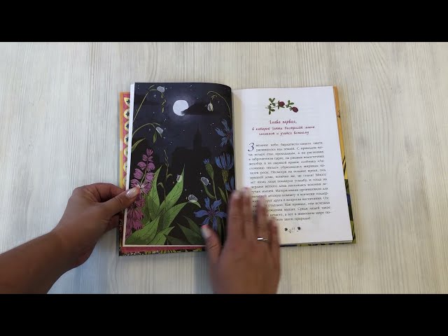 Книга Гетти спасает усадьбу (выпуск 2) (Аннет Рёдер) — 3