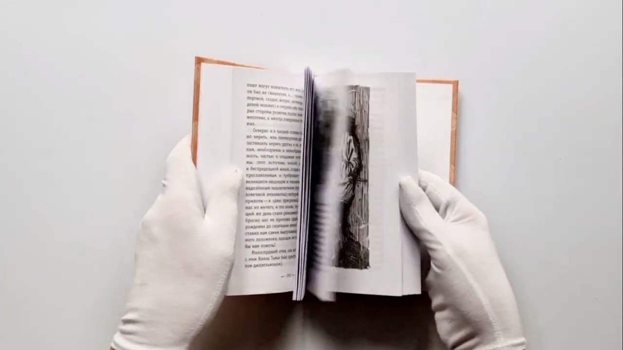 Книга Трильби (Джордж Дюморье) — 4