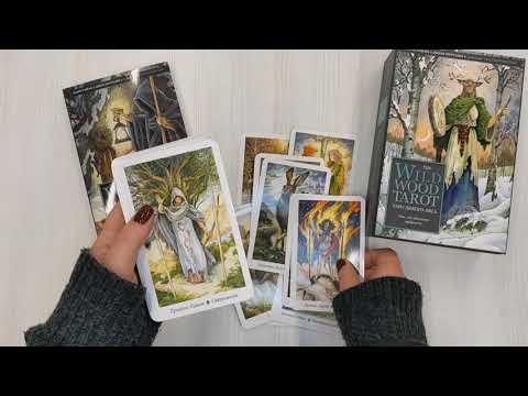 Книга The Wildwood Tarot. Таро Дикого леса (78 карт карт и руководство в подарочном футляре) (Марк Райан) — 3