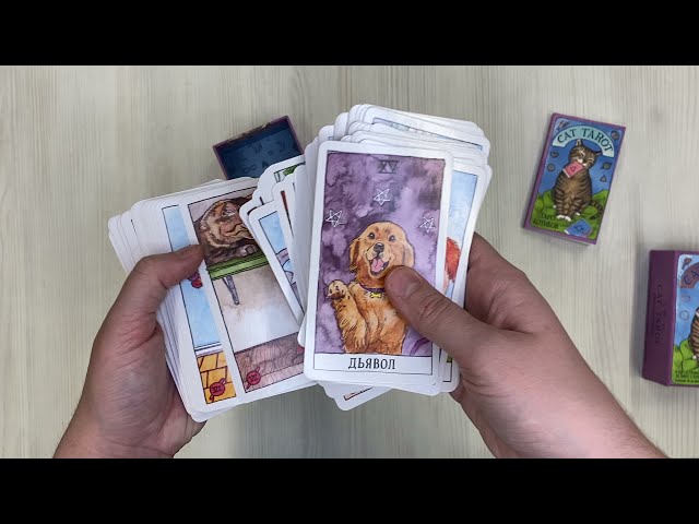 Книга Cat Tarot. Таро Котиков (Меган Линн Котт) — 3