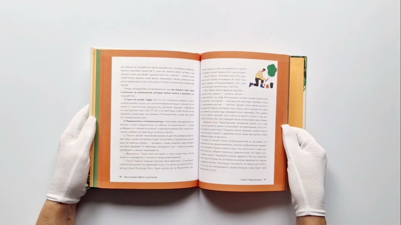 Книга Мой зеленый рай. Как перестать волноваться и стать счастливым цветоводом (Ирина Хамулина) — 4