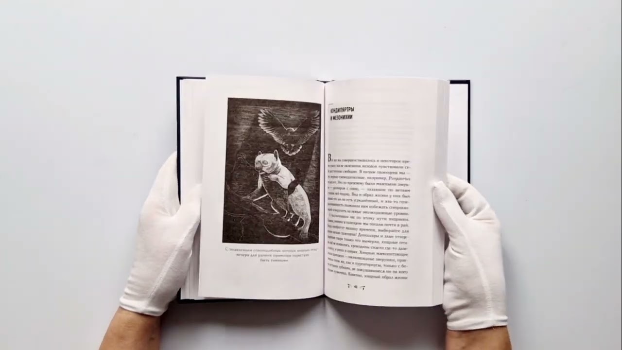 Книга Чудища Эдема. Трилобиты, аномалокарисы, ракоскорпионы и другие монстры (Станислав Дробышевский) — 3