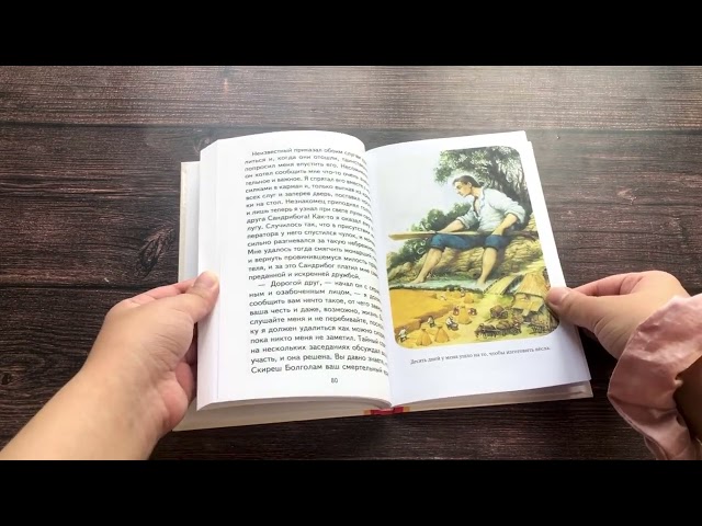 Книга Гулливер в стране лилипутов (ил. А. Симанчука) (Джонатан Свифт) — 3