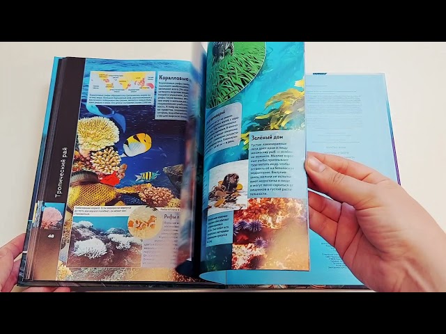 Книга Океаны и моря. Виртуальная реальность (Энн МакРей) — 4