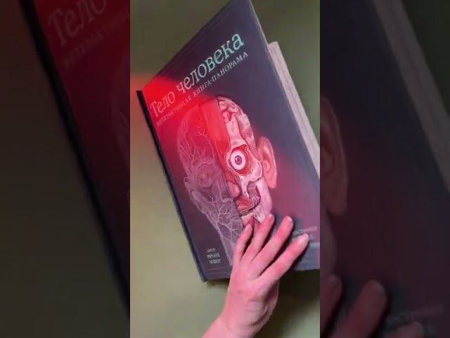 Книга Тираннозавр рекс. Интерактивная книга-панорама (Дугал Диксон) — 4