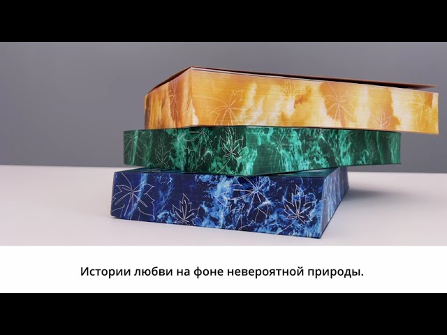 Книга Когда приходит шторм (Карина Шнелль) — 3