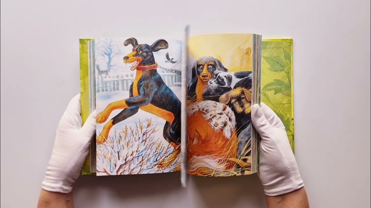 Книга Усы, перья и хвосты. Рассказы русских писателей о животных (ил. М. Белоусовой) (Александр Куприн, Дмитрий Мамин-Сибиряк, Антон Чехов) — 4