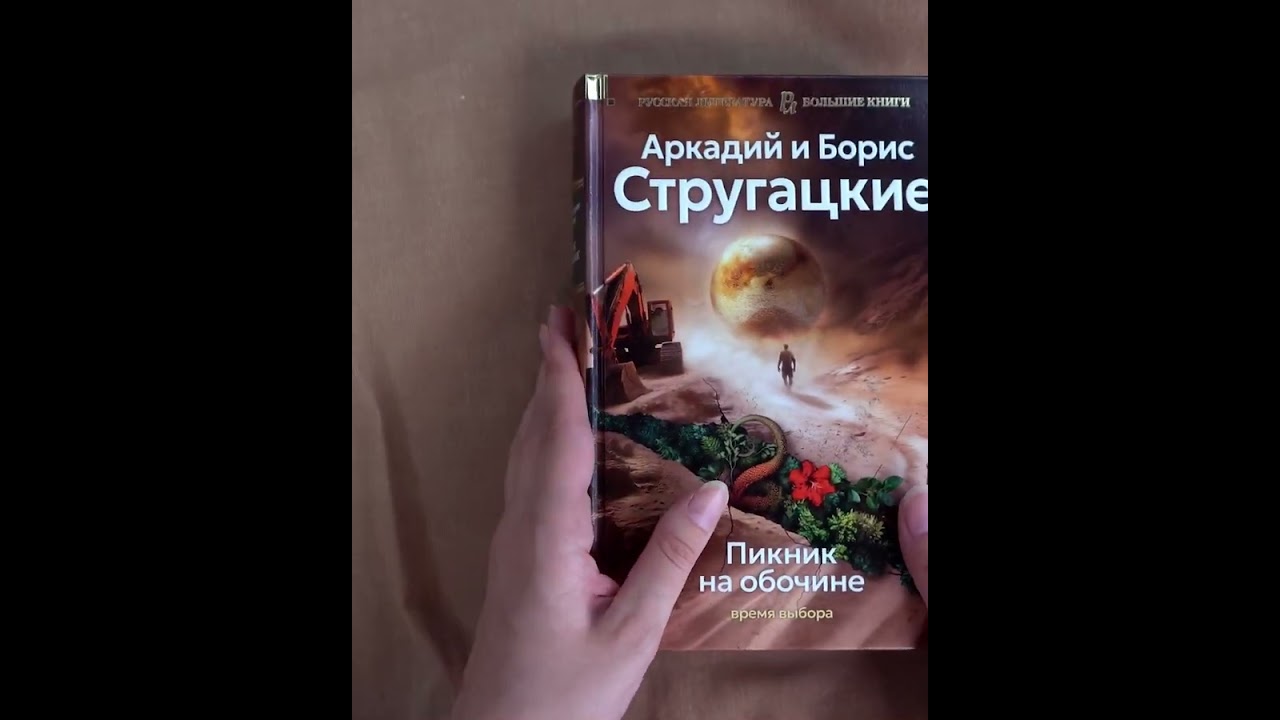 Книга Пикник на обочине. Время выбора (Борис Стругацкий, Аркадий Стругацкий) — 3