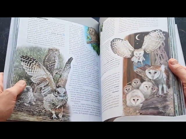 Книга Птицы. Полная энциклопедия (Юлия Школьник) — 3