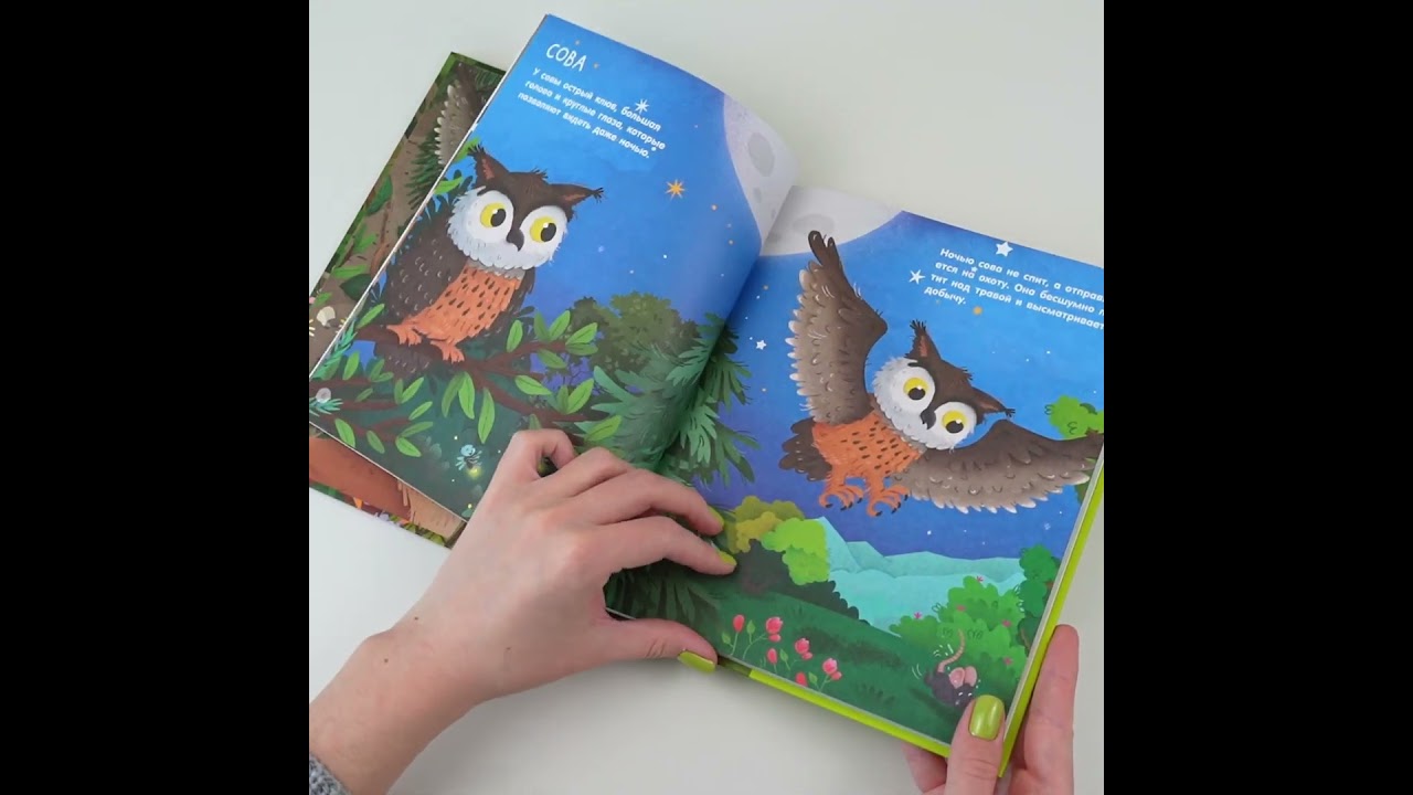 Книга Лесные животные (Лоретта Цоппи) — 3