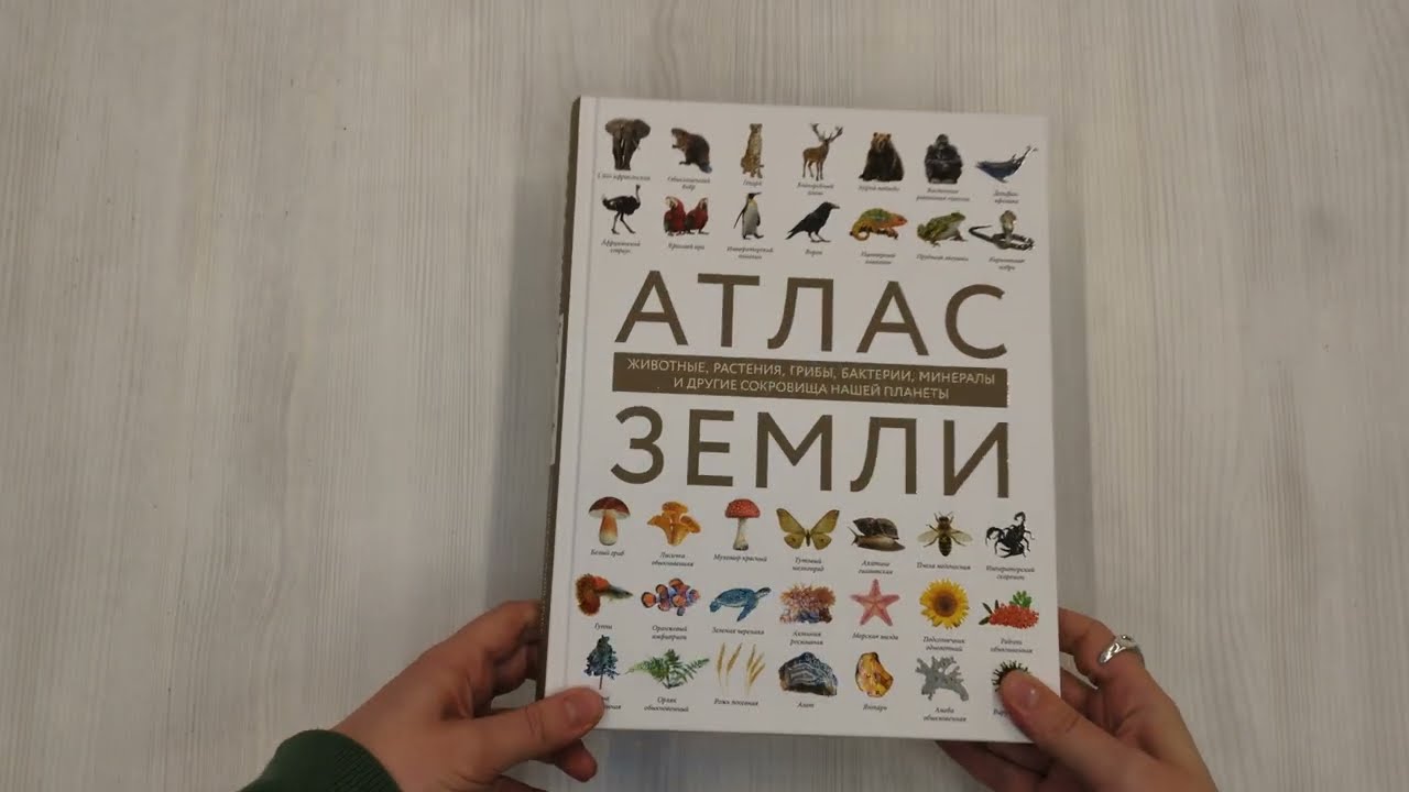 Книга Атлас Земли. Животные, растения, грибы, бактерии, минералы и другие сокровища нашей планеты (Регина Михайлова) — 3