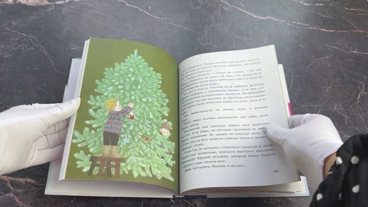 Книга Чук и Гек. Рассказы (ил. А. Власовой) (Аркадий Гайдар) — 3
