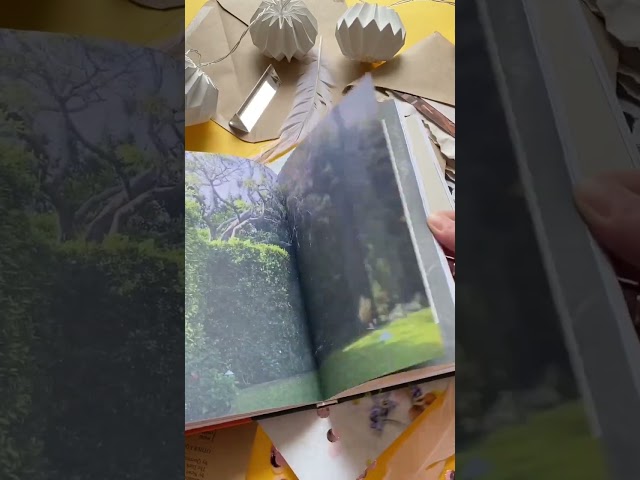 Книга Вайолет, склонившаяся над травою (Лана Дель Рей) — 4