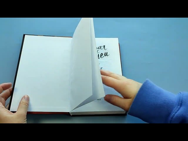 Книга Играя с огнем (Л.Дж. Шэн) — 3