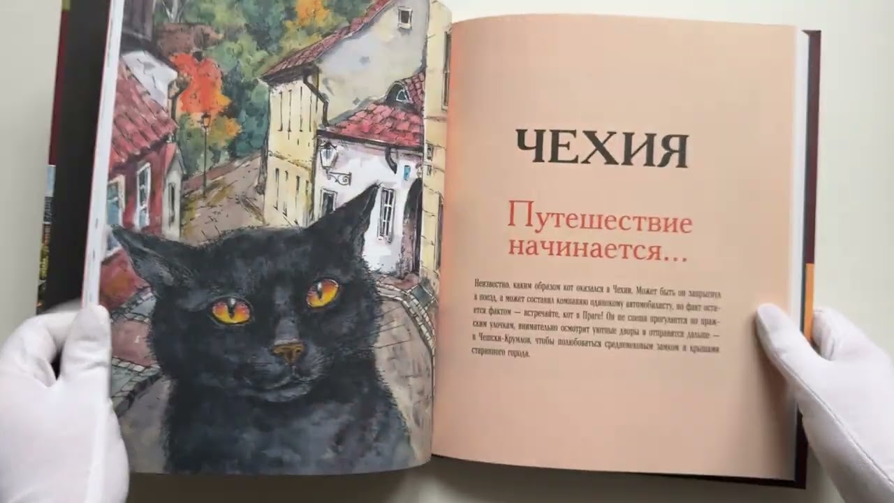 Книга Вышиваем крестиком путешествие черного кота. 28 красивых сюжетов: от Парижа до Барселоны (Ольга Сотникова) — 3