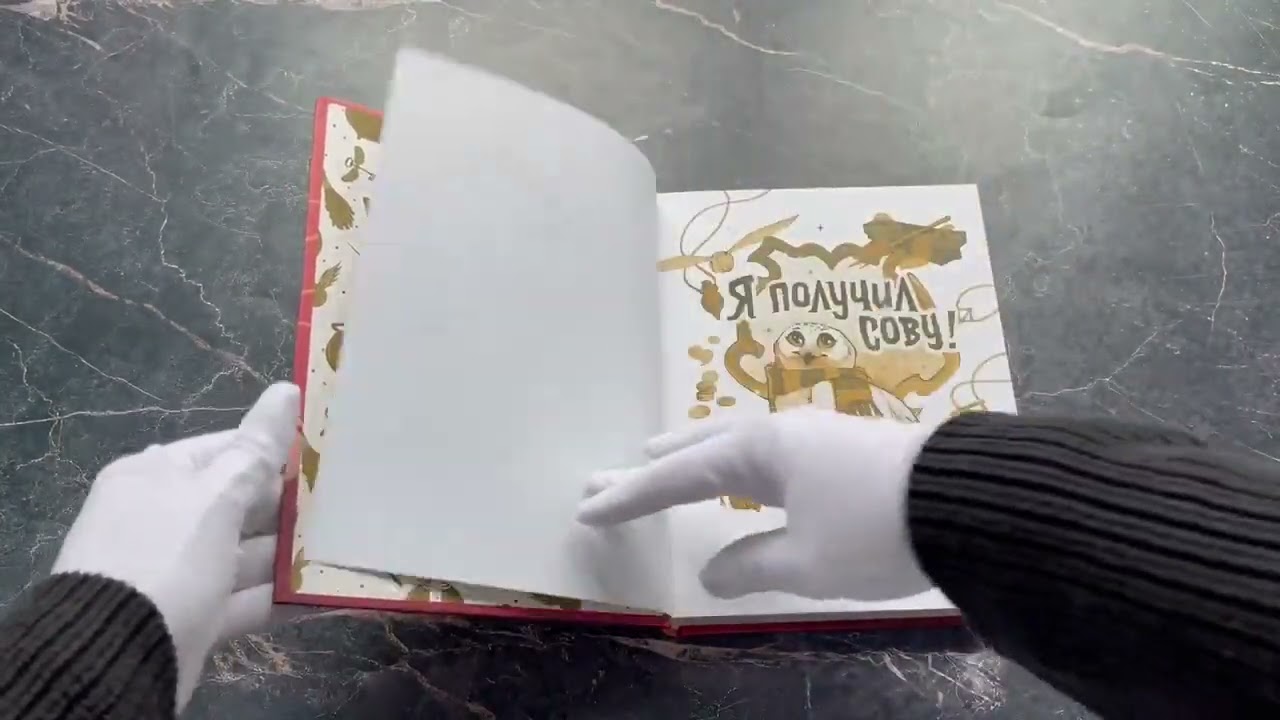 Книга Я получил сову! Фанбук по волшебному миру Гарри Поттера () — 4