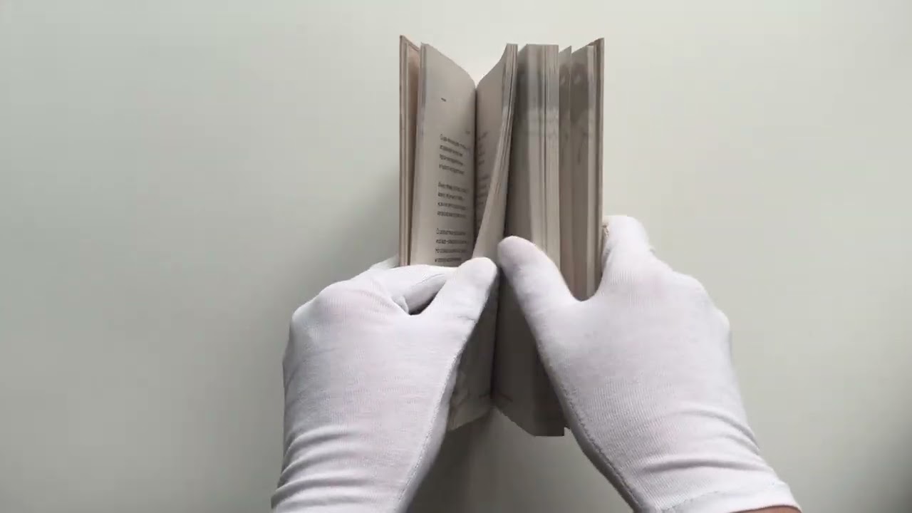 Книга А снег идет... (Евгений Евтушенко) — 3