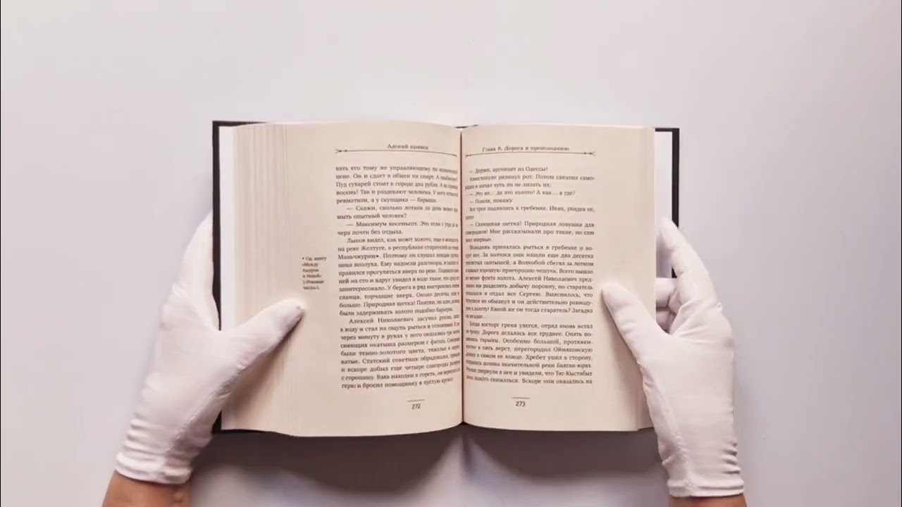 Книга Адский прииск (Николай Свечин) — 4