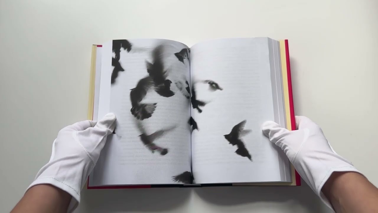 Книга Жутко громко и запредельно близко (Джонатан Фоер) — 2