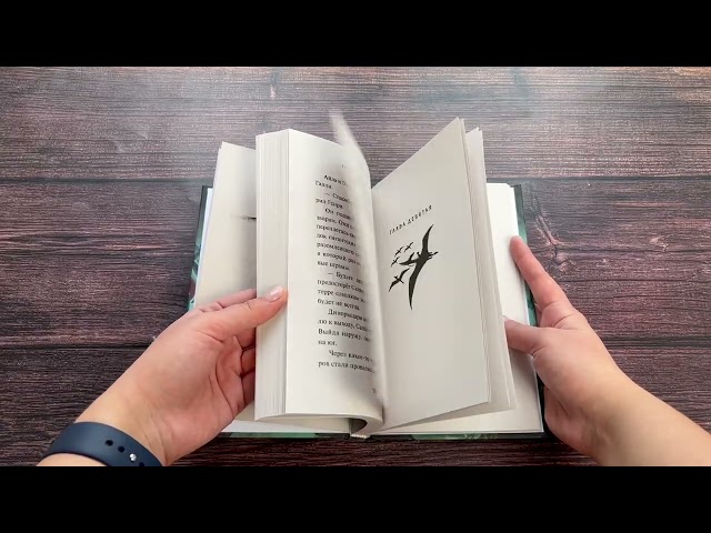 Книга Воздушная ловушка (#1) (Джефф Нортон) — 3