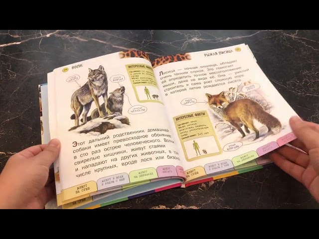 Книга Все млекопитающие с крупными буквами (Елена Ананьева) — 3