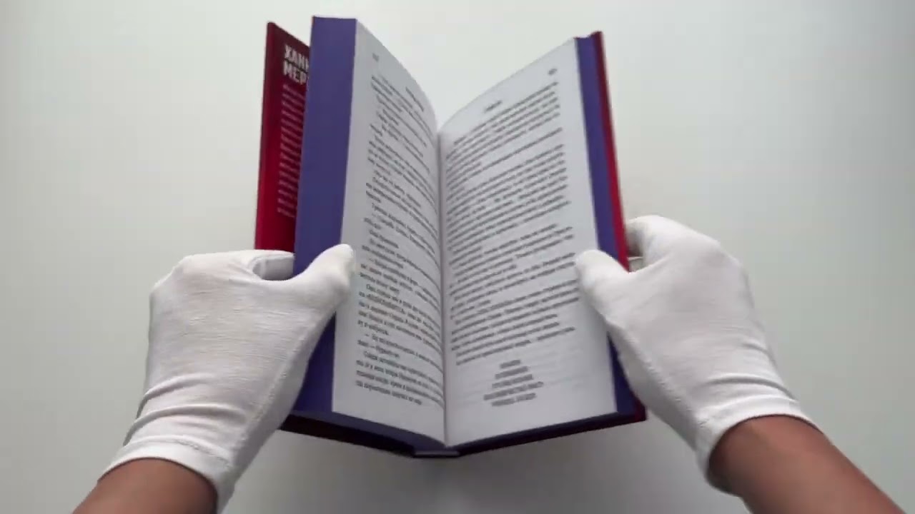 Книга Ученица Злодея 2 (Ханна Николь Мерер) — 3